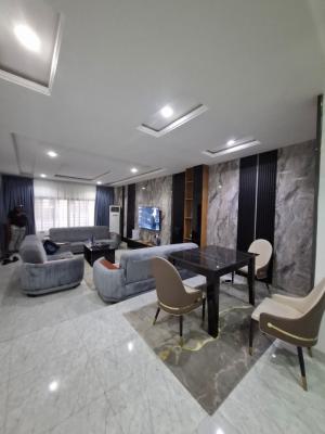 Furnished Four Bedroom Terraced Duplex, Naf Valley Estate, Asokoro District, Abuja, Terraced Duplex for Rent