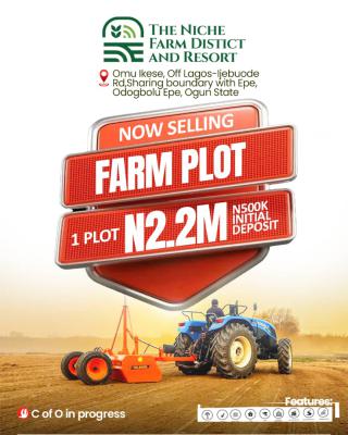 Own a Plot of Farm and Spread The Balance, Odogbolu, Ogun, Land for Sale