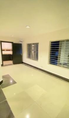 Luxury 2 Bedroom Apartment, Lekki Right, Lekki Phase 1, Lekki, Lagos, Flat / Apartment for Rent