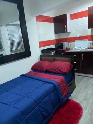 Luxury,neat and Furnished 1 Bedroom Bq, Adedeju Adekola Close,off Freedom Way Ikate, Ibeju Lekki, Lagos, Self Contain (single Rooms) for Rent