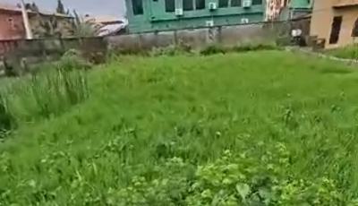 965sqm Cornerpiece Land Ok for Hotel Warehouse Church School Hospital, Idowu Rufai St. Off Ago Palace Way, Ago, Okota, Isolo, Lagos, Land for Sale