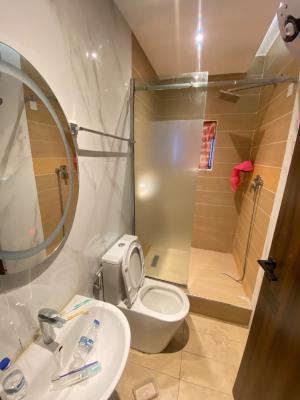 Luxury 1 Bedroom Apartment, Admiralty Way, Lekki Phase 1, Lekki, Lagos, Mini Flat (room and Parlour) for Rent