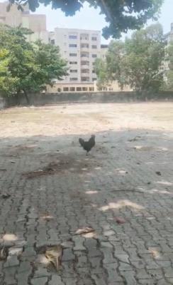 Prime Land in Victoria Island, Danmole Street, Off Adetokunbo Ademola, Victoria Island, Lagos, Victoria Island (vi), Lagos, Mixed-use Land for Sale