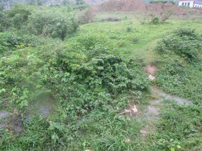 Distress 1.28 Hectare Commercial Table Land, Wuye, Abuja, Commercial Land for Sale