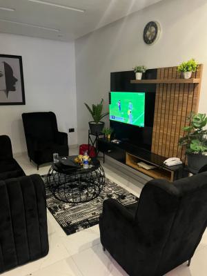 Modern Living, Affordable Price, Mini Flat, Lekki Peninsula Scheme (2), Ogombo, Ajah, Lagos, Mini Flat (room and Parlour) for Rent
