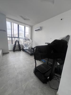 Luxurious Two Bedroom Apartment, Ikoyi, Lagos, Flat / Apartment for Rent