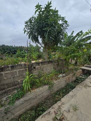 Well Located Residential Land Measuring 1,000 Square Meters, Atlantic Garden Estate, General Paint Area, Ajah, Lagos, Residential Land for Sale