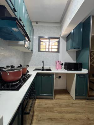 Fully Furnished Luxury 1 Bed Apartment + 24hrs Light, Off Banana Island Road, Ikoyi, Lagos, Mini Flat (room and Parlour) for Rent