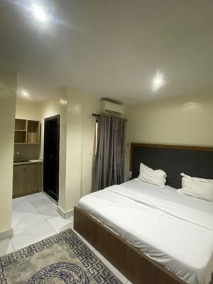 Lovely Studio Apartment with Kitchenette, Ikate, Lekki, Lagos, Self Contain (single Rooms) Short Let