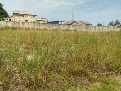 979 Sqmts Land in Gated Estate with Full Infrastructures, Twin Lakes, Opposite Chevron, Lekki Expressway, Lekki, Lagos, Residential Land for Sale