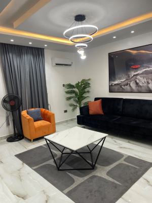 Exclusive 1 Bedroom Apartment, Yaba, Lagos, Mini Flat (room and Parlour) Short Let