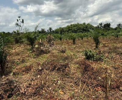 Acres of Palm Oil Farm Land with C of O, Off Afon Road, Imeko Afon, Ogun, Land for Sale