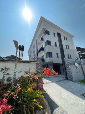 Clean and Spacious 3 Bedroom Apartment with Bq, Lekki, Lekki Phase 1, Lekki, Lagos, Flat / Apartment for Sale