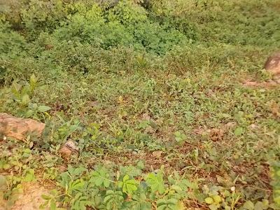 1,900sqm Residential Land, Guzape District, Abuja, Residential Land for Sale