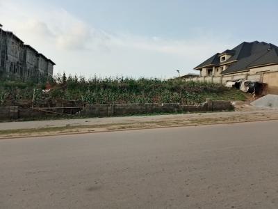 2,600sqm, Close to Guzape, Asokoro District, Abuja, Residential Land for Sale