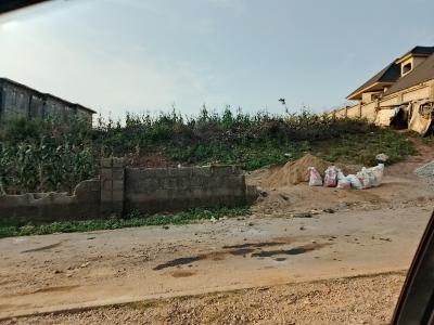 2,600sqm, Close to Guzape, Asokoro District, Abuja, Residential Land for Sale