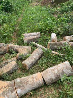 Full Plot of Dry Land, Oke Sabo., Imota, Ikorodu, Lagos, Mixed-use Land for Sale