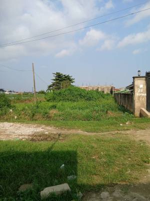 Half Plot of a Virgin Land, Soluyi, Gbagada, Lagos, Land for Sale