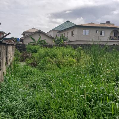 a One and Half (1½ ) Plot of Land, Seaside Estate, Badore., Ajah, Lagos, Residential Land for Sale