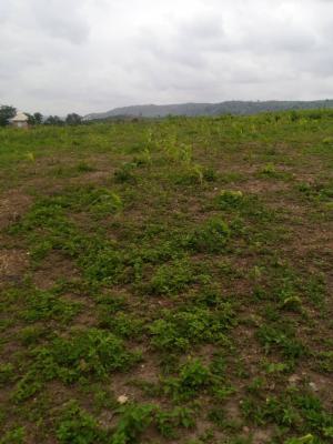 Fully Detached Stand Alone Duplex with Bq, 3 Minutes Drive From Gishiri Junction, Katampe, Abuja, Residential Land for Sale