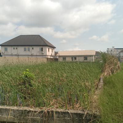 a Full Plot of Land, Saheed Hassan Street, Greenville Estate, Badore., Ajah, Lagos, Mixed-use Land for Sale