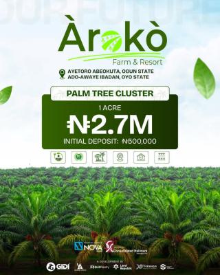 One Time Opportunity 100% Dry Land Suits for Investment, Aiyetoro, Abeokuta, Ogun State & Ado-awaye Ibadan, Oyo State, Ibadan, Oyo, Residential Land for Sale
