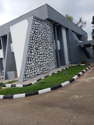 Well Renovated 7 Bedroom Mansion with 3 Bedroom Quest Chalet, Asokoro Abuja Diplomatic Zone, Asokoro District, Abuja, Detached Duplex for Rent