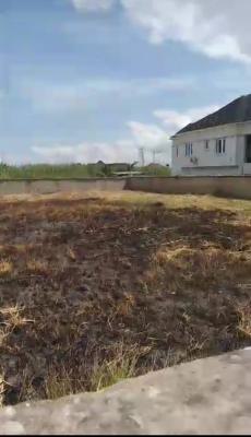 2plots of Dry and Fenced Land, Thomas Estate, Ajah, Lagos, Mixed-use Land for Sale