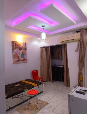 Newly Built Furnished Roomself Contain with All Modern Facilities, Ogudu Road, Ogudu, Lagos, Self Contain (single Rooms) for Rent