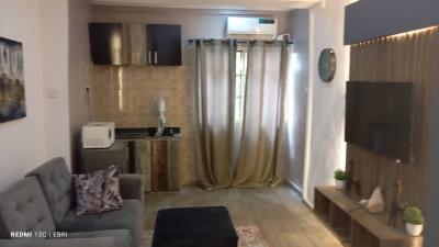 Fully Furnished 1 Bedroom Apartment, Lekki Phase 1, Lekki, Lagos, Flat / Apartment for Rent