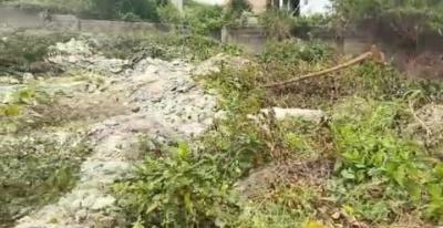 1405sqm of Land in an Estate, Morgan Estate, Ojodu, Lagos, Land for Sale
