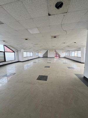 176 Sqm Office Space, Victoria Island (vi), Lagos, Office Space for Rent