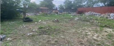 1008 Sqm Land Available for Lease, Banana Island, Ikoyi, Lagos, Mixed-use Land for Rent