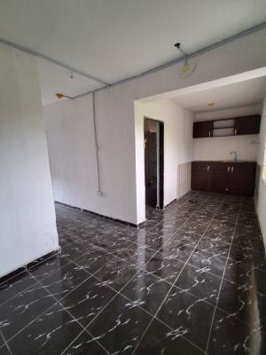 Mini Flat, Addo Road, Ado, Ajah, Lagos, Mini Flat (room and Parlour) for Rent