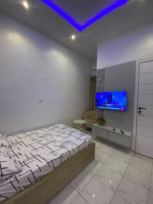 Fully Furnished 1 Bedroom Available for Monthly Stay, Lekki Palm City Estate, Ajah, Lagos, House for Rent