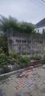 1065sqm at Empire Estate (a Fully Built-up Estate), Empire Estate on Chevron Alternative, Lekki, Lagos, Residential Land for Sale