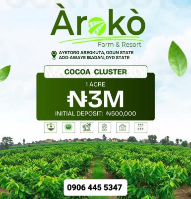 Cocoa Farm Lands: Acres and Hectares Available, Aiyetoro Town, Abeokuta North, Ogun, Land for Sale