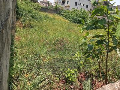 Fully Fenced and Gated Dry One Plot of Land, Olokonla, Sangotedo, Ajah, Lagos, Mixed-use Land for Sale