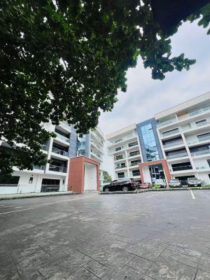 Furnished 2 Bedroom Apartment with Bq and Swimming Pool., Old Ikoyi, Ikoyi, Lagos, Flat / Apartment for Rent