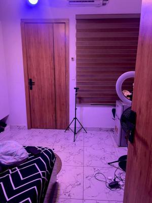 Luxury Selfcontained Shared Apartment, Harris Drive, Vgc, Lekki, Lagos, Mini Flat (room and Parlour) for Rent