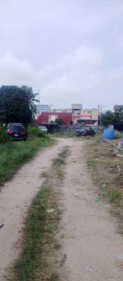 2,000 Square Metres, Victoria Island (vi), Lagos, Land for Sale