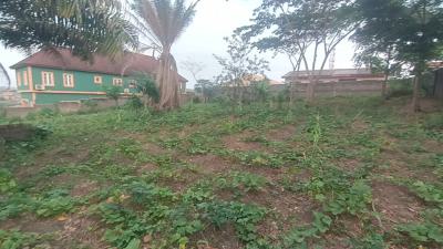 2plot of Land Dry and Table Land with C of O, Off Isawo Road, Agric, Ikorodu, Lagos, Mixed-use Land for Sale