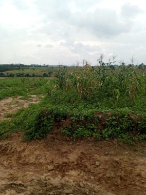 250sqm Residential Land for 4 Bedrooms Terrace Duplex. Tj, Apo Tyafi, Apo, Abuja, Residential Land for Sale