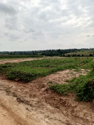 500sqm of Residential Land for 4 Bedrooms Detached Duplex+bq. Tj, Apo Tyafi, Apo, Abuja, Residential Land for Sale
