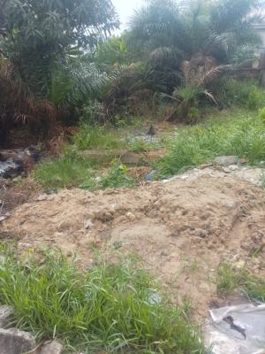 800 Sqm, Peter Imemesi Avenue, Satellite Town, Ojo, Lagos, Residential Land for Sale