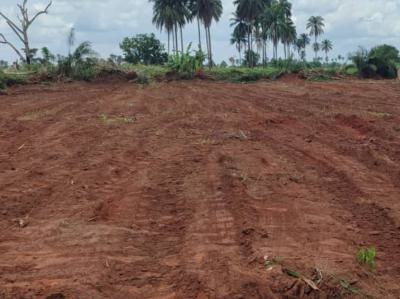 Govt Approved Estate, Strategically Located, Crystal City Estate, Achalla Town, Awka, Anambra, Mixed-use Land for Sale