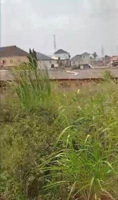 a Standard, Massive Land, Fagba, Agege, Lagos, Mixed-use Land for Sale