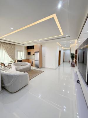Fully Furnished 2 Bedrooms Apartment, Ikate, Lekki, Lagos, Flat / Apartment for Sale