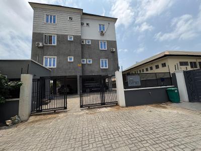 Fully Furnished 2bed Apartment in Ikate, Ikate, Lekki, Lagos, Flat / Apartment for Rent
