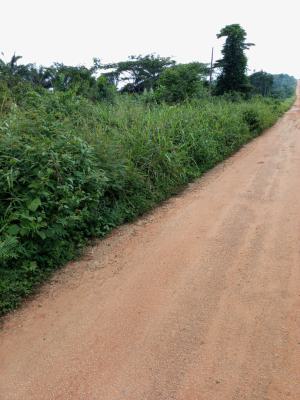 Land, Egba Off Benin Auchi Road, Uhunmwonde, Edo, Mixed-use Land for Sale
